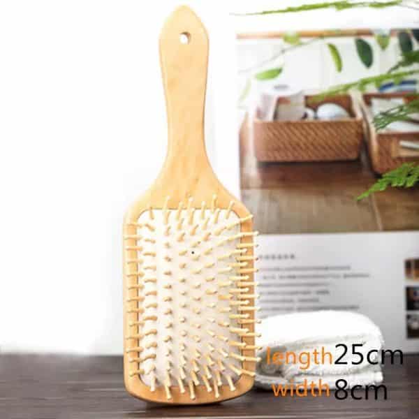 Paddle Brush